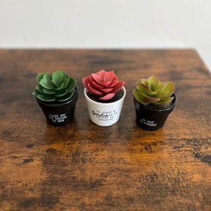 small-plants-succulents