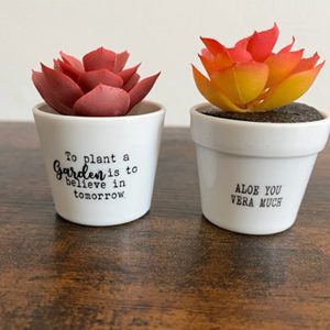 small-plants-succulents