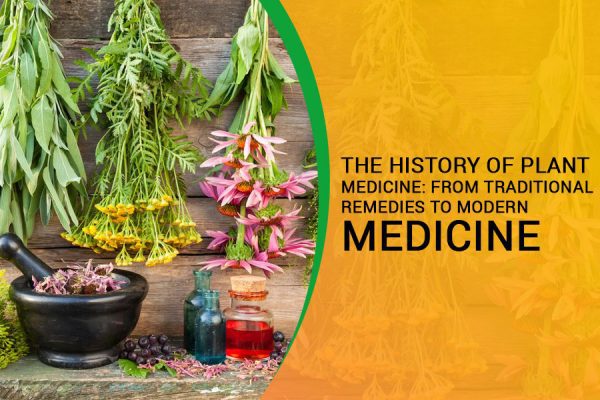 Plant Medicine History: Traditional Remedies & Medicine