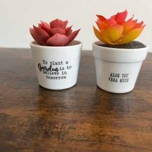 Yellow-and-Red-Succulents